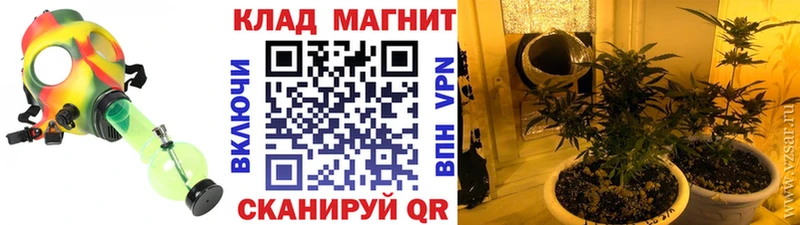 Какие есть наркотики Дмитриев Кокаин  Меф  ГАШИШ  Амфетамин  omg как зайти  Канабис 