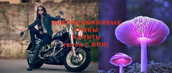 spice Козловка