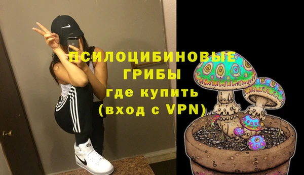 стаф Армянск