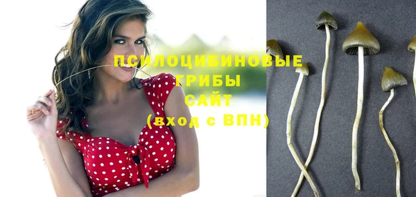 спиды Алзамай