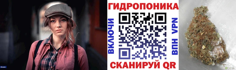 Марихуана Ganja kraken tor Дмитриев цены наркотик